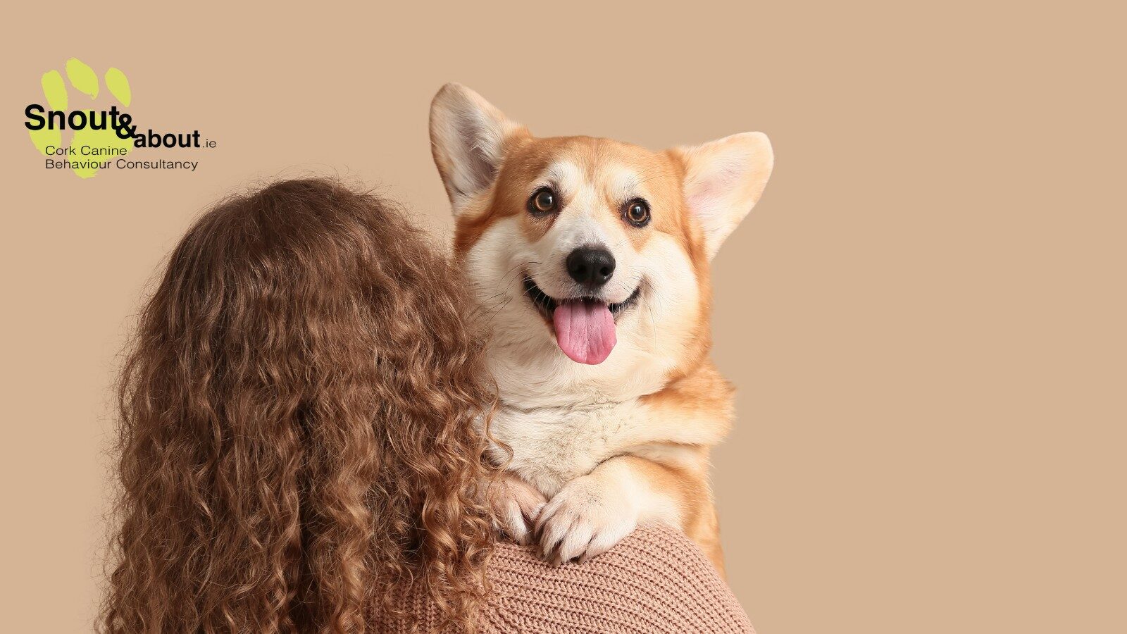 Dog being held by their guardian