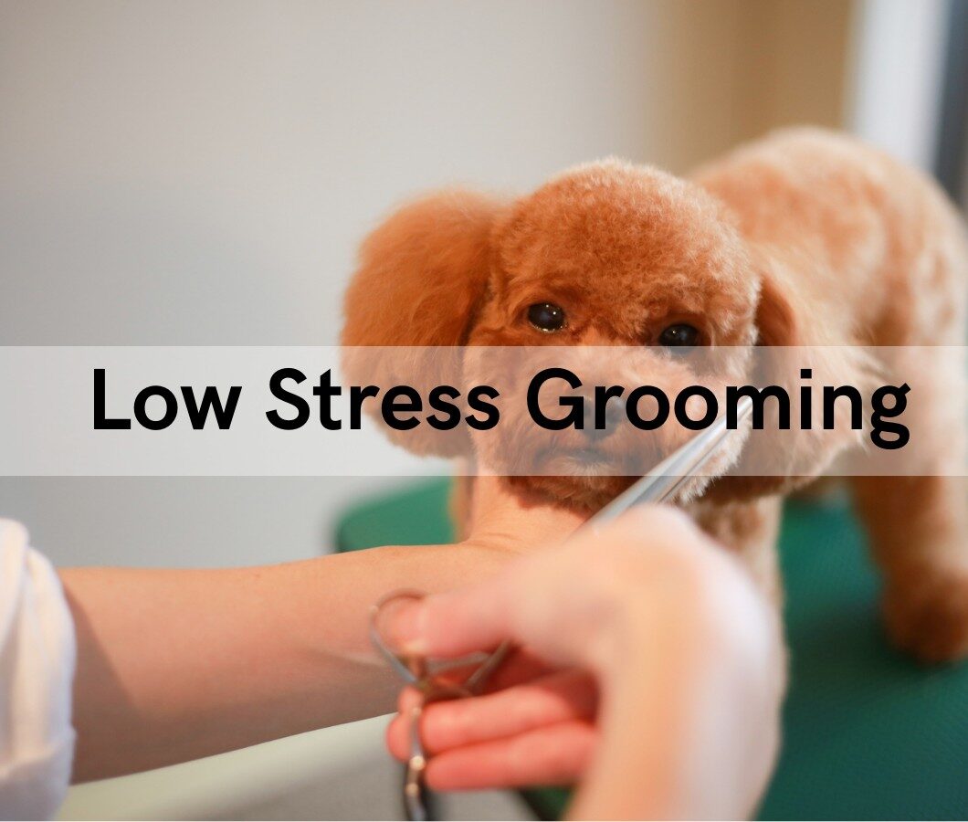 Low Stress Grooming