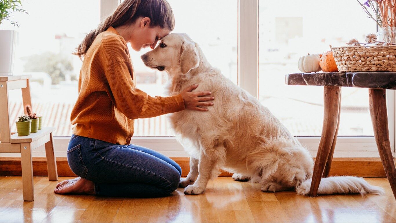 Woman and dog together by the window