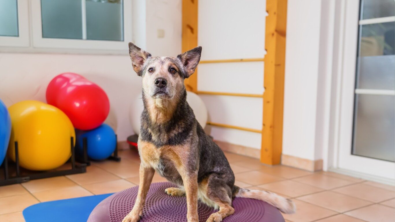 Physiotherapy hero image