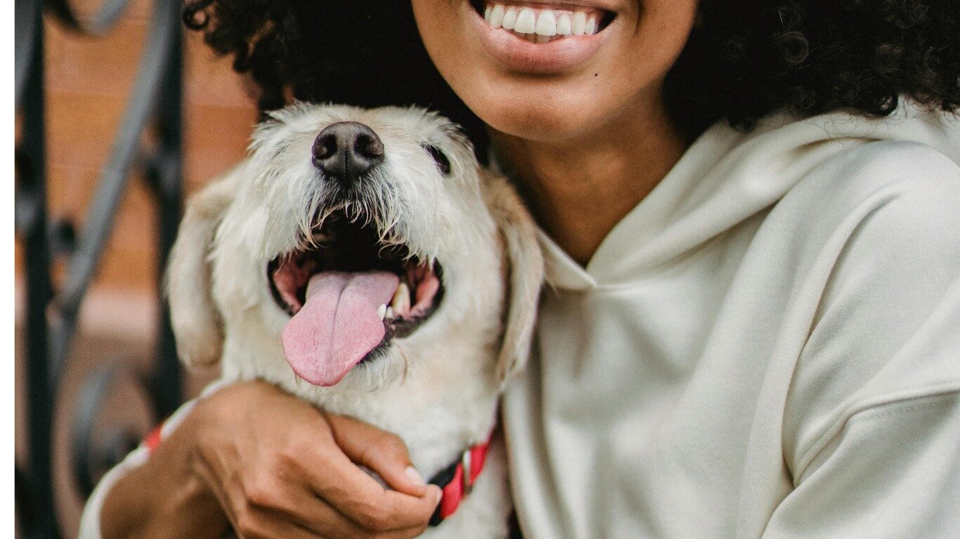 Projects and Events hero image