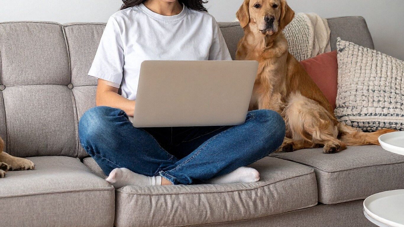 Mentorship and professional support hero image