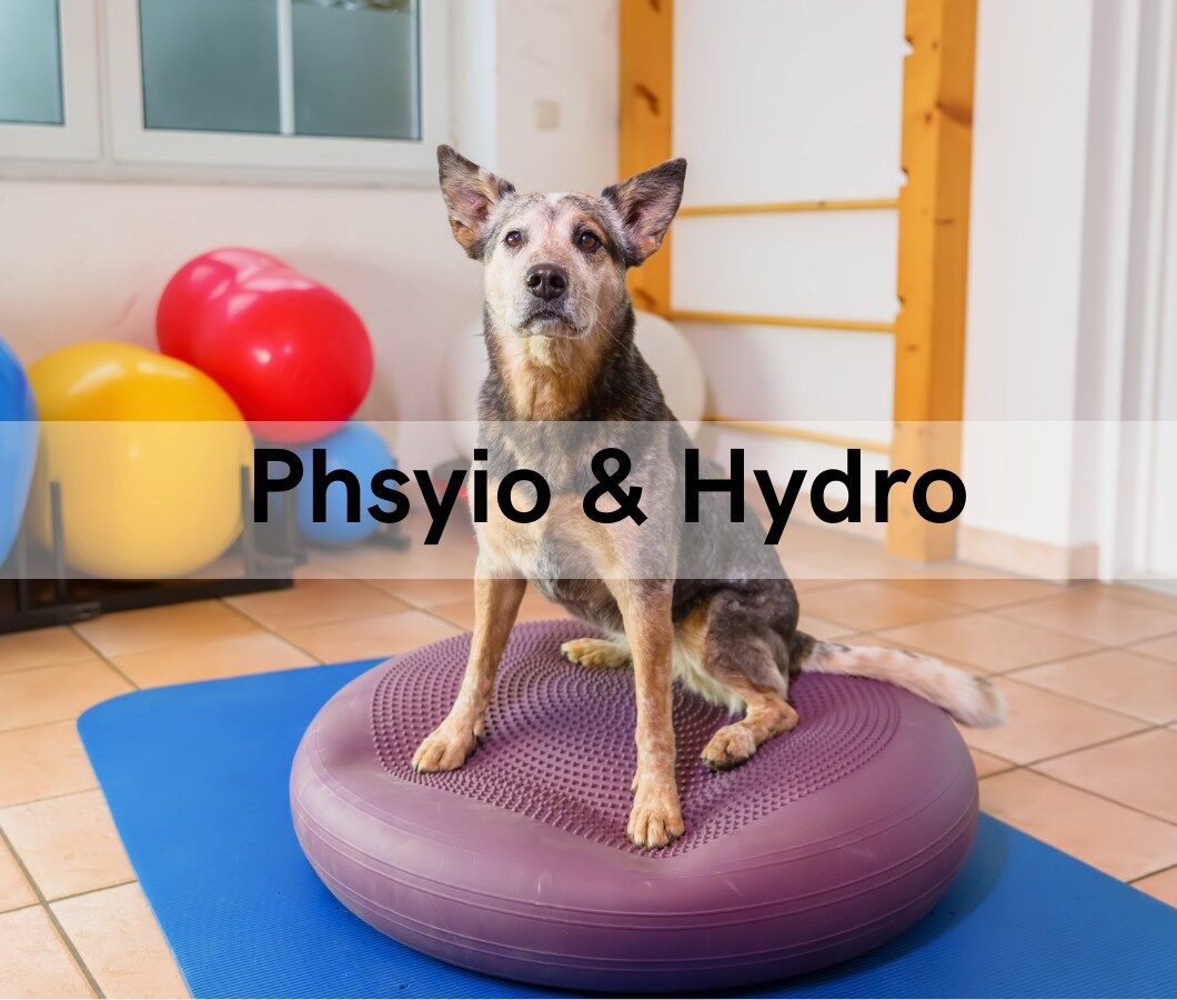 Physio & Hydro