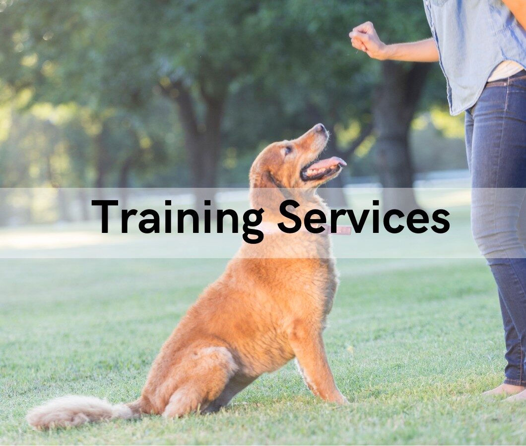 Training Services