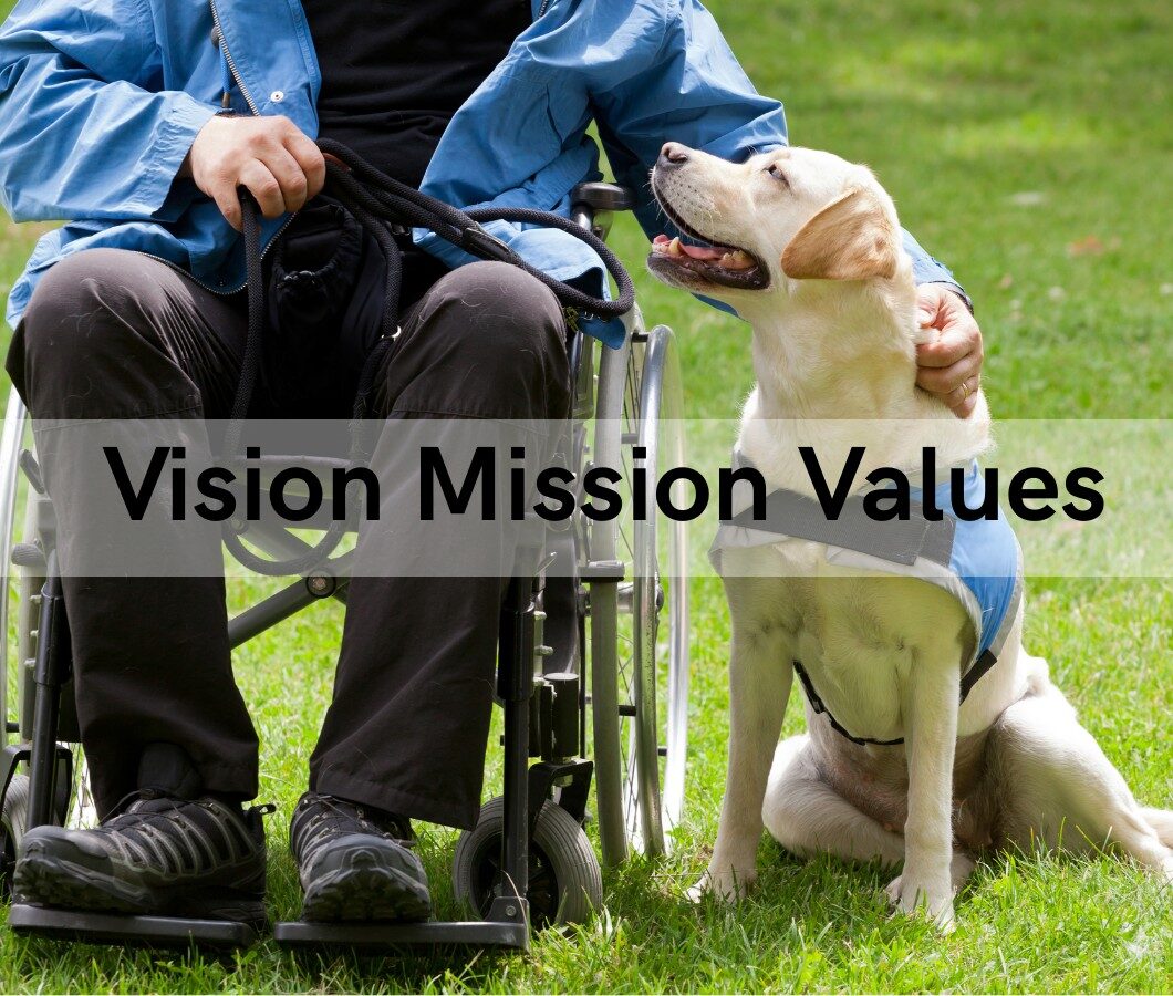 Vision Mission Values