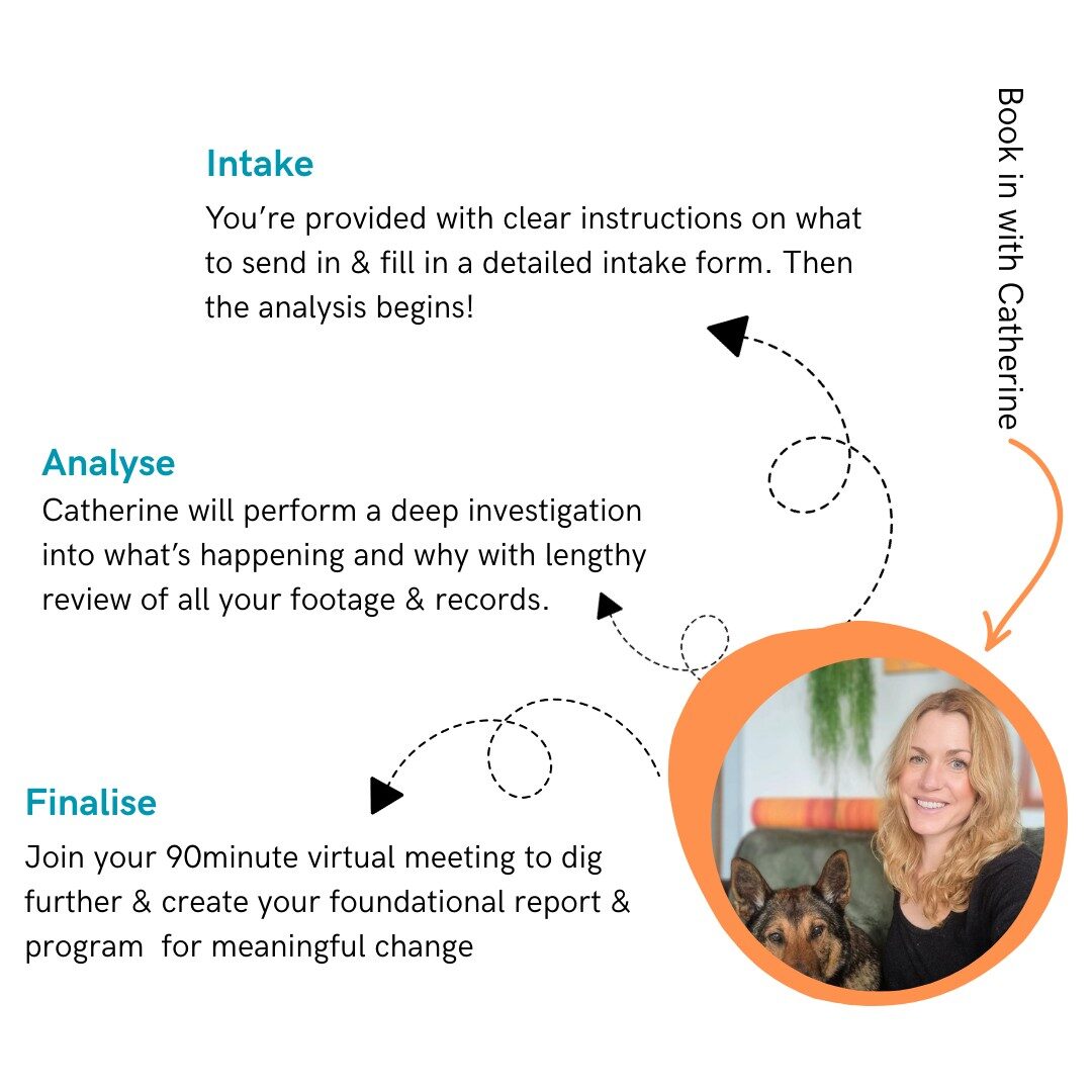 ABC Triage intake analyse finalise slide