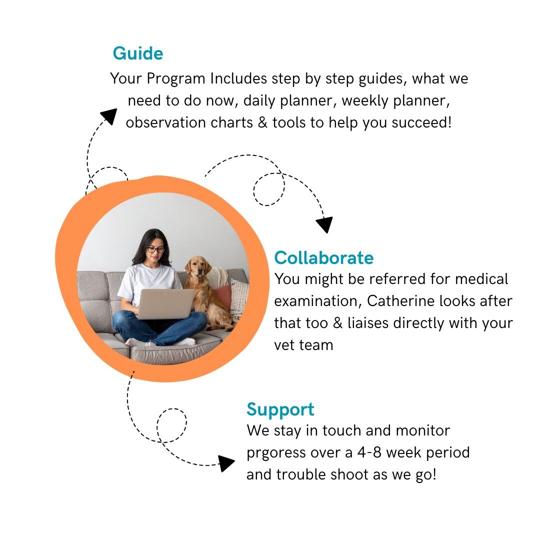 ABC Triage guide collaborate support slide