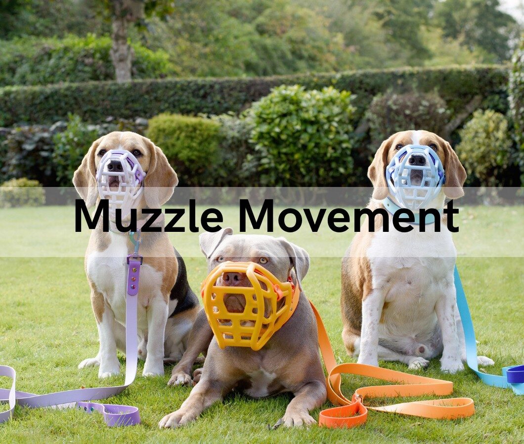 Muzzle Movement Fittings