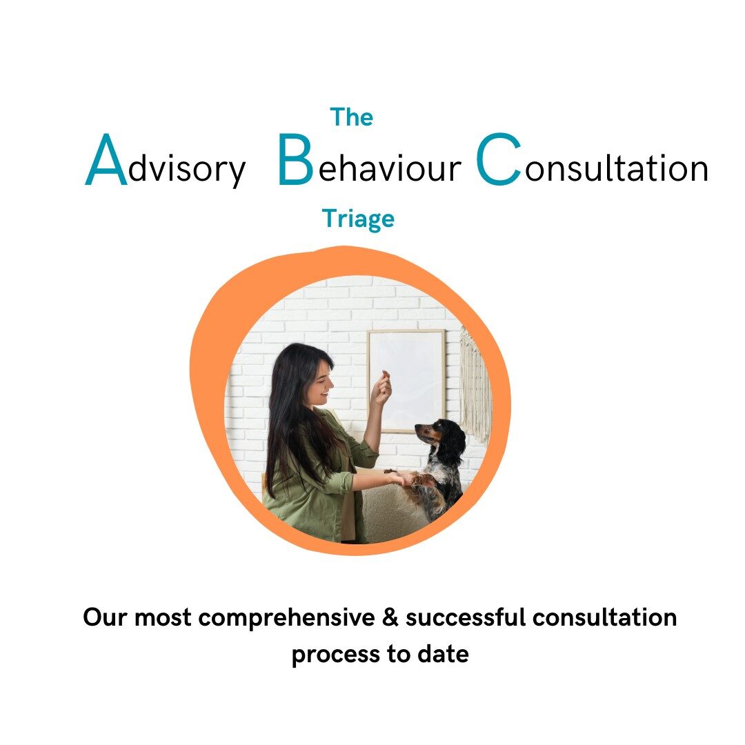 ABC Triage overview slide