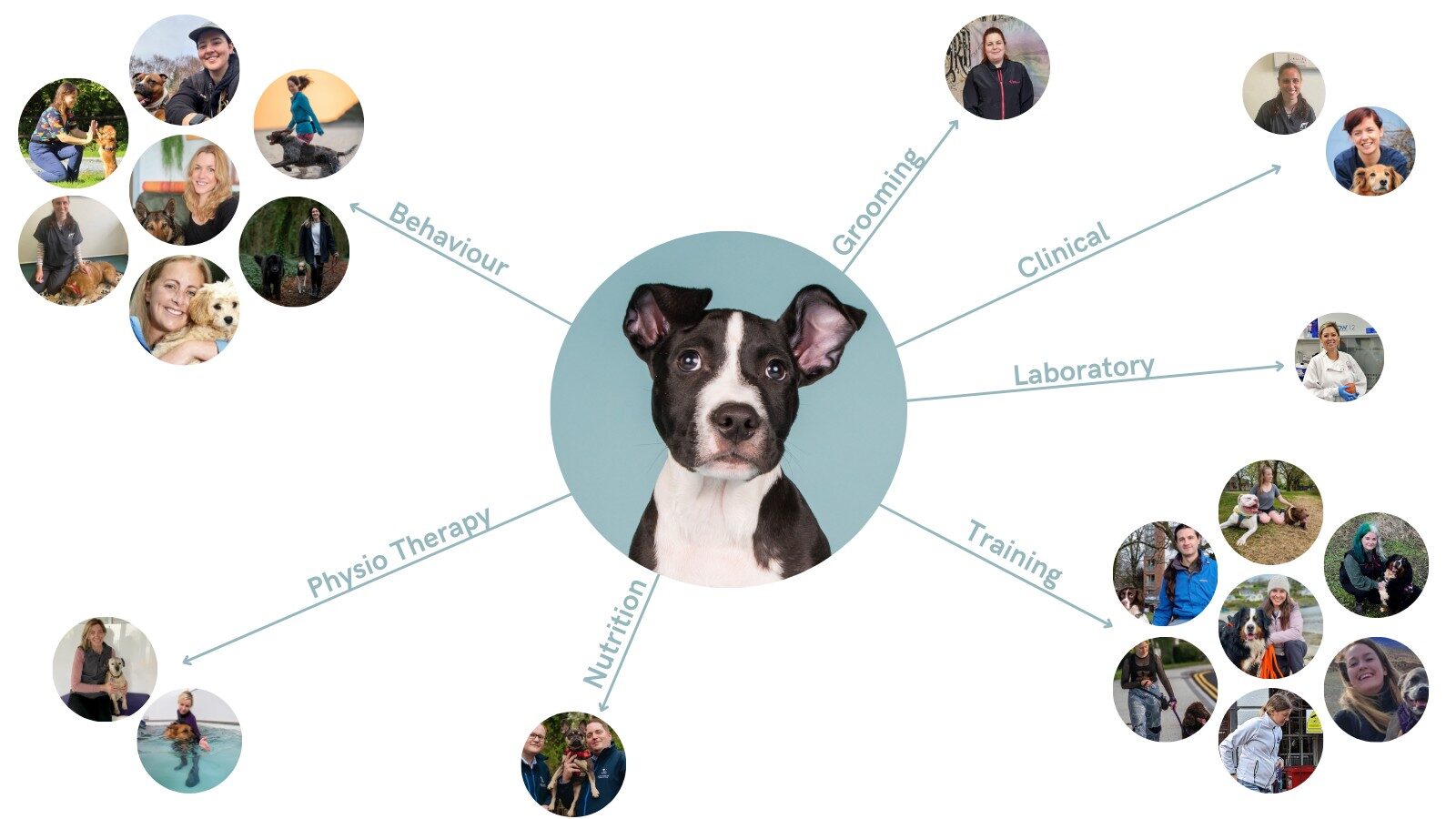 Snout & About multidisciplinary team