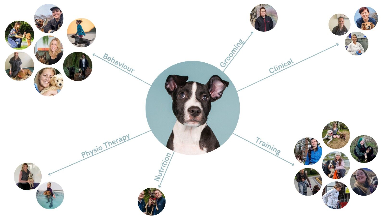 Snout & About multidisciplinary team