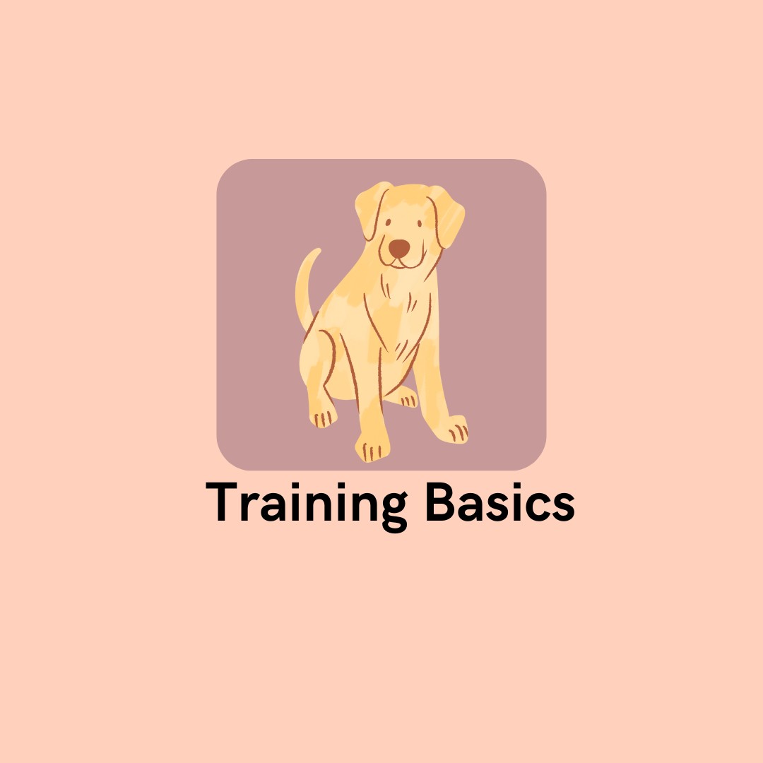 Training Basics