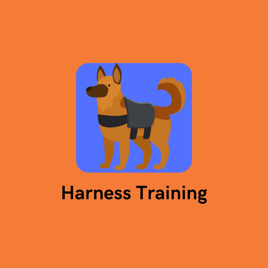 Equipment Desensitisation