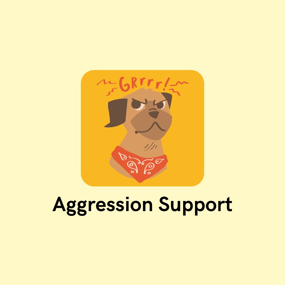 Dog Aggression Help